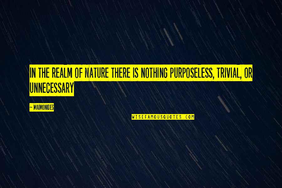 Brilliant Success Quotes By Maimonides: In the realm of Nature there is nothing