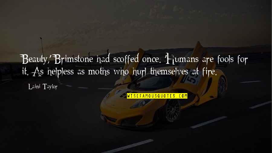 Brimstone's Quotes By Laini Taylor: Beauty,' Brimstone had scoffed once. 'Humans are fools Brimstone's Quotes By Laini Taylor: Beauty,' Brimstone had scoffed once. 'Humans are fools