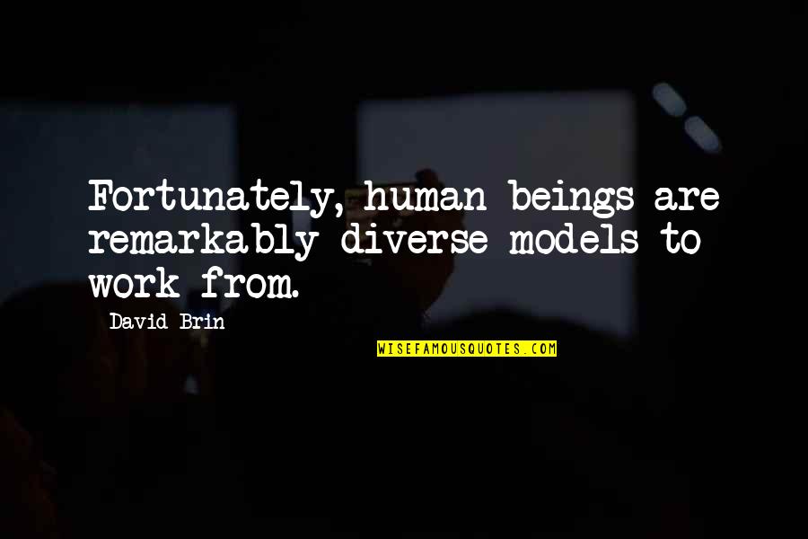 Brin Quotes By David Brin: Fortunately, human beings are remarkably diverse models to