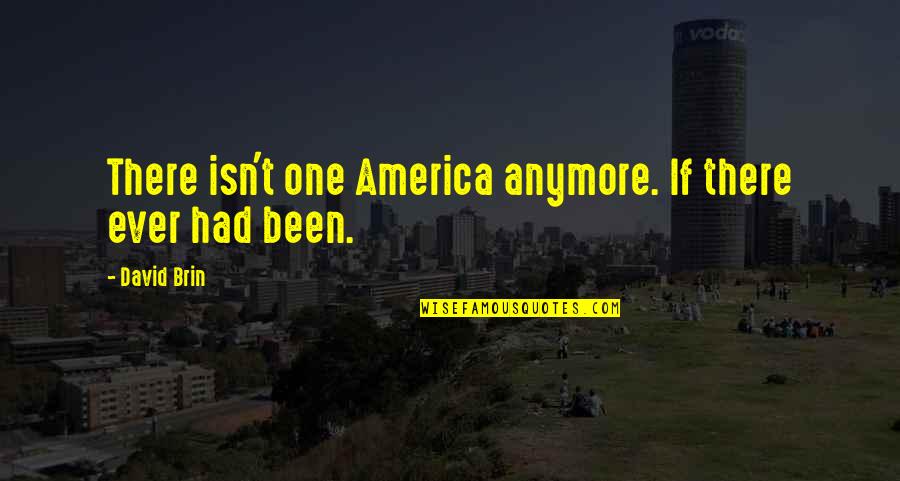 Brin Quotes By David Brin: There isn't one America anymore. If there ever