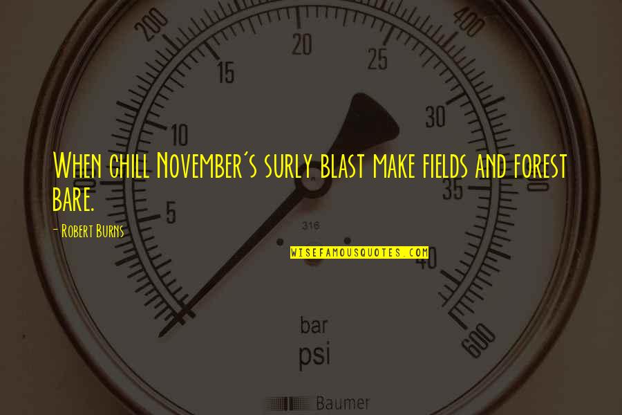 Brinch Hansen Quotes By Robert Burns: When chill November's surly blast make fields and