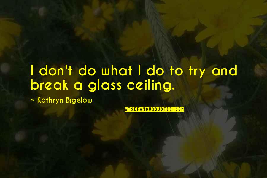Bring A Trailer Quotes By Kathryn Bigelow: I don't do what I do to try Bring A Trailer Quotes By Kathryn Bigelow: I don't do what I do to try