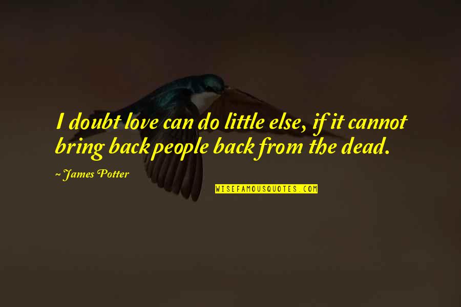 Bring Back Love Quotes By James Potter: I doubt love can do little else, if