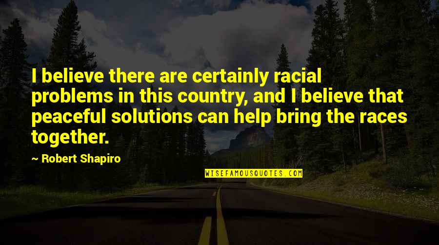 Bring It All Together Quotes By Robert Shapiro: I believe there are certainly racial problems in