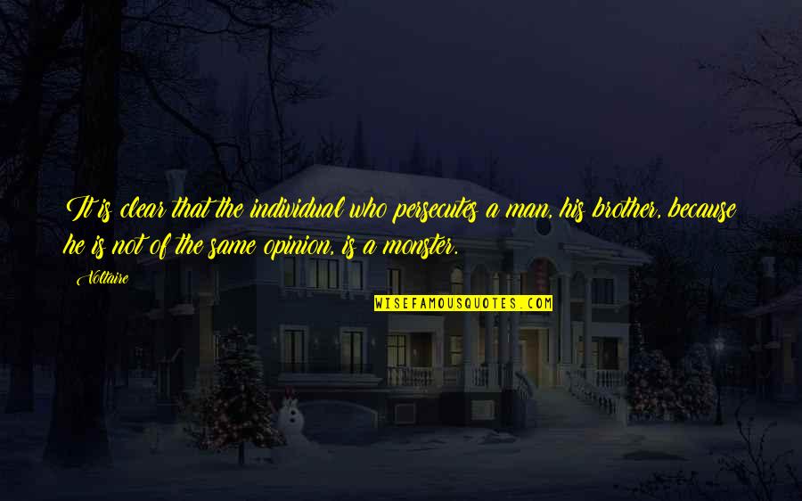 Bringing A Baby Into The World Quotes By Voltaire: It is clear that the individual who persecutes Bringing A Baby Into The World Quotes By Voltaire: It is clear that the individual who persecutes