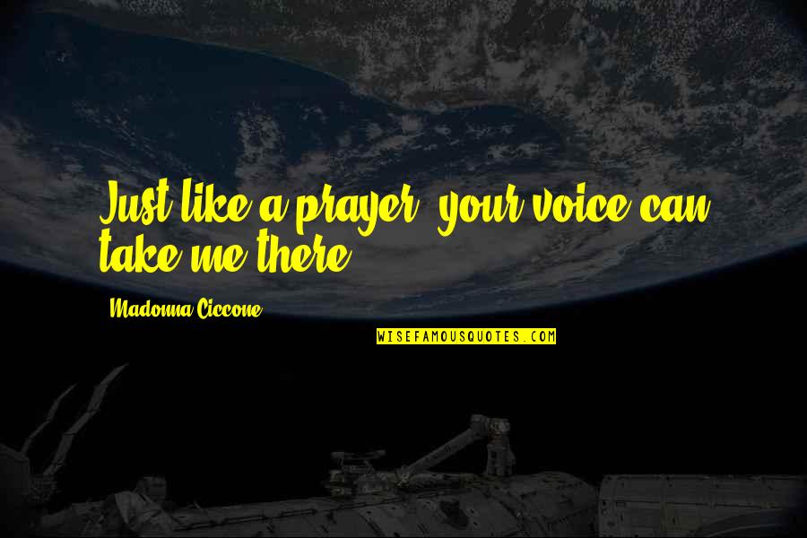 Bringing Babies Into The World Quotes By Madonna Ciccone: Just like a prayer, your voice can take Bringing Babies Into The World Quotes By Madonna Ciccone: Just like a prayer, your voice can take