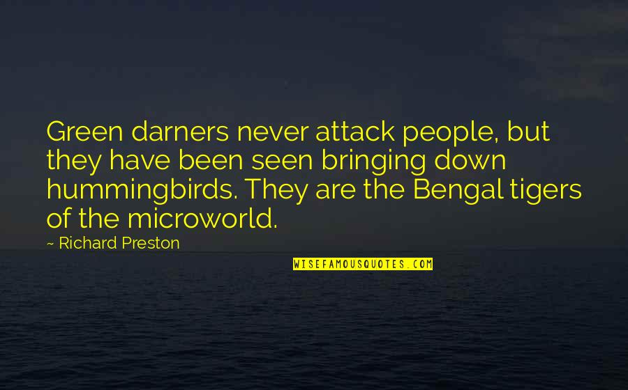 Bringing Down Quotes By Richard Preston: Green darners never attack people, but they have Bringing Down Quotes By Richard Preston: Green darners never attack people, but they have