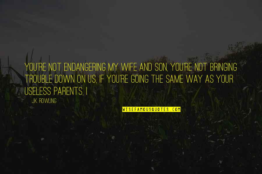 Bringing You Down Quotes By J.K. Rowling: You're not endangering my wife and son, you're Bringing You Down Quotes By J.K. Rowling: You're not endangering my wife and son, you're