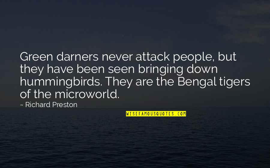 Bringing You Down Quotes By Richard Preston: Green darners never attack people, but they have Bringing You Down Quotes By Richard Preston: Green darners never attack people, but they have