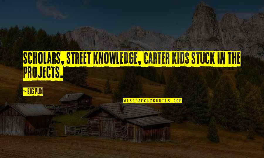 Briquet Griffon Quotes By Big Pun: Scholars, street knowledge, Carter kids stuck in the