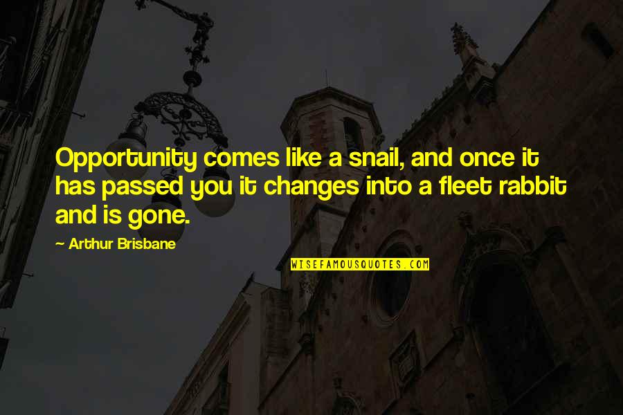 Brisbane Quotes By Arthur Brisbane: Opportunity comes like a snail, and once it