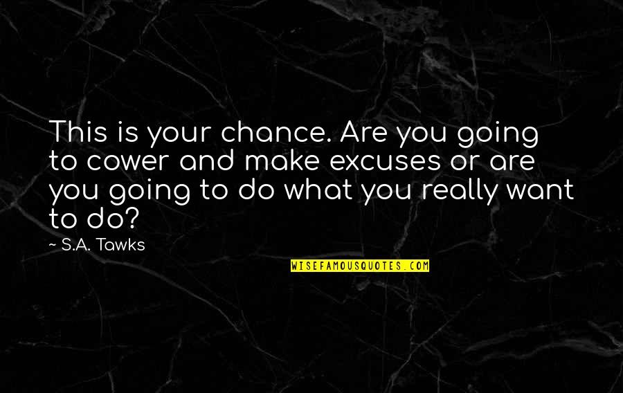 Brisbane Quotes By S.A. Tawks: This is your chance. Are you going to