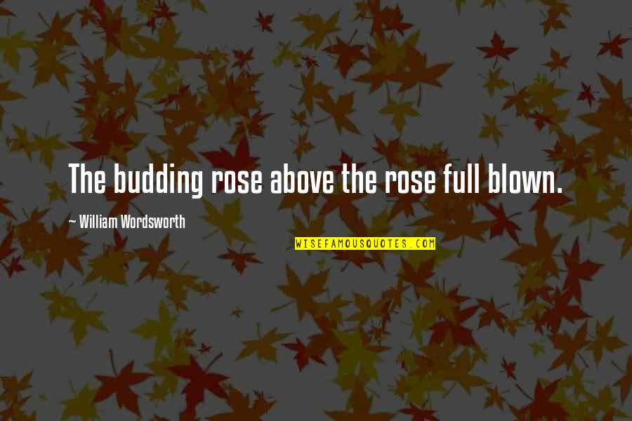 Briscoe Quotes By William Wordsworth: The budding rose above the rose full blown.