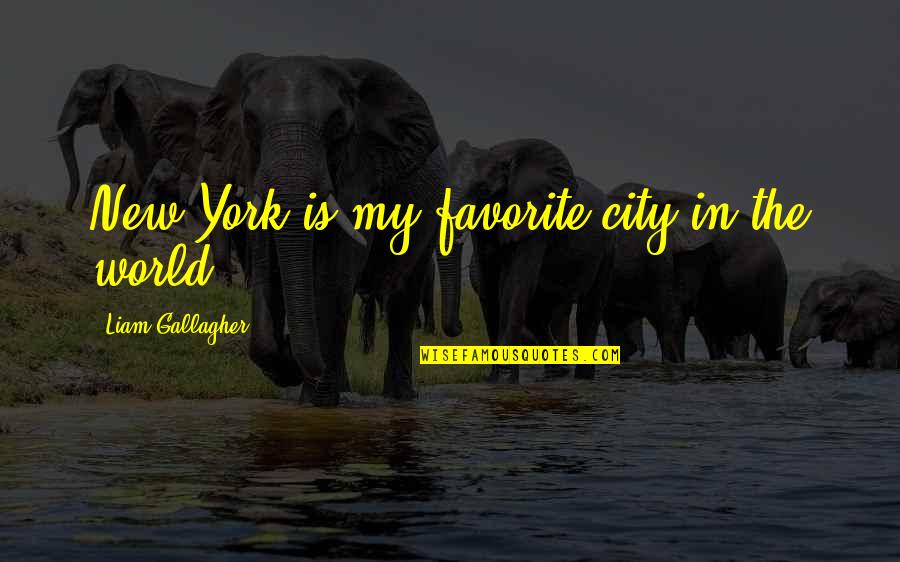 Briseyda Villalpando Quotes By Liam Gallagher: New York is my favorite city in the