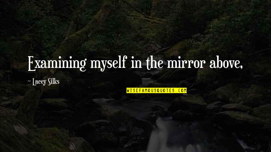 Briskin Fortnite Quotes By Lacey Silks: Examining myself in the mirror above, Briskin Fortnite Quotes By Lacey Silks: Examining myself in the mirror above,