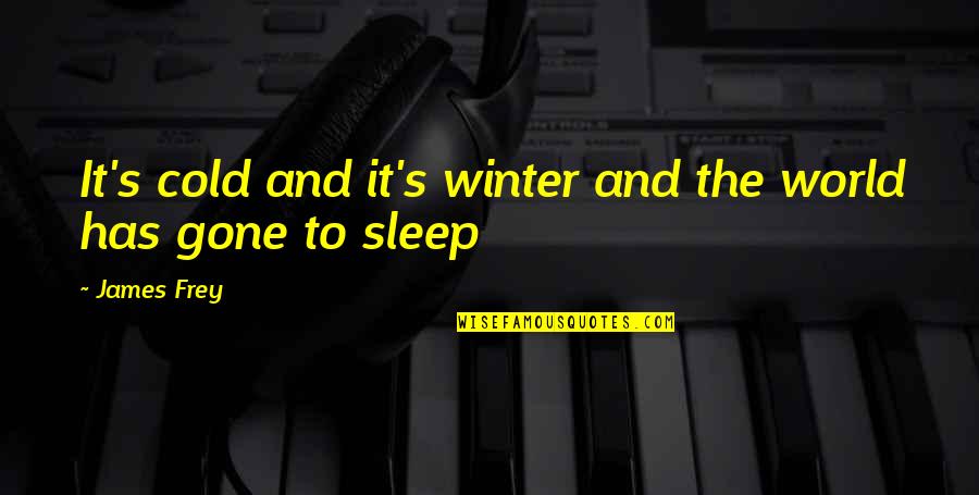 Bristled Moorbounder Quotes By James Frey: It's cold and it's winter and the world