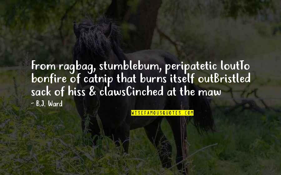 Bristled Quotes By B.J. Ward: From ragbag, stumblebum, peripatetic loutTo bonfire of catnip