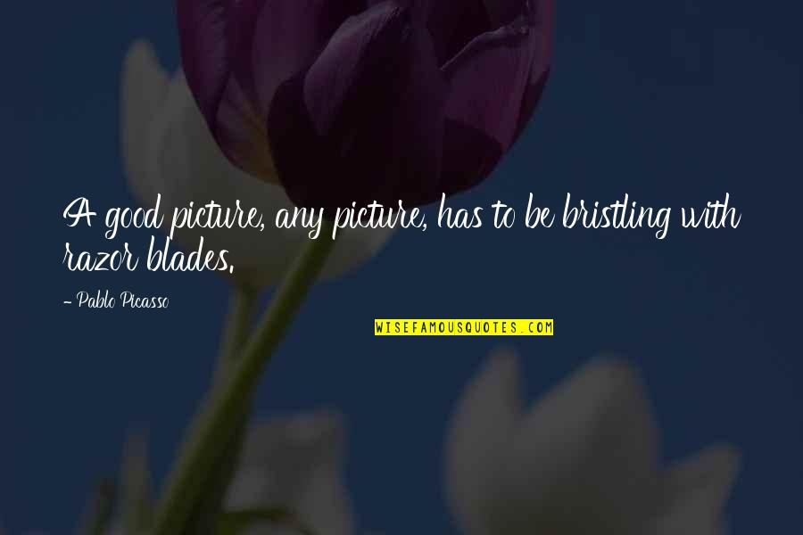 Bristling Quotes By Pablo Picasso: A good picture, any picture, has to be