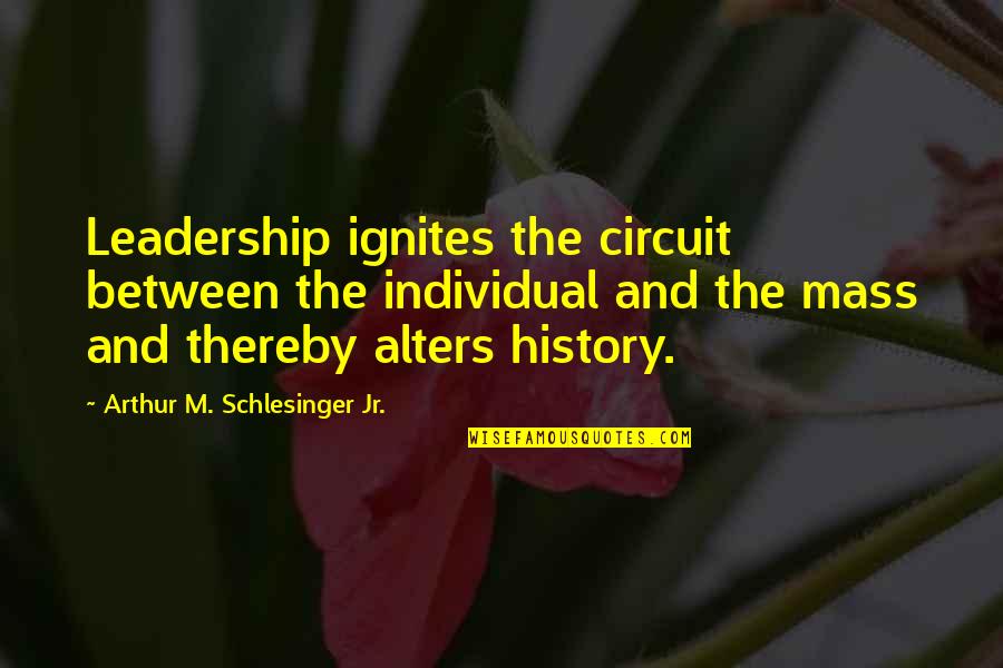 British Fabian Socialism Quotes By Arthur M. Schlesinger Jr.: Leadership ignites the circuit between the individual and British Fabian Socialism Quotes By Arthur M. Schlesinger Jr.: Leadership ignites the circuit between the individual and