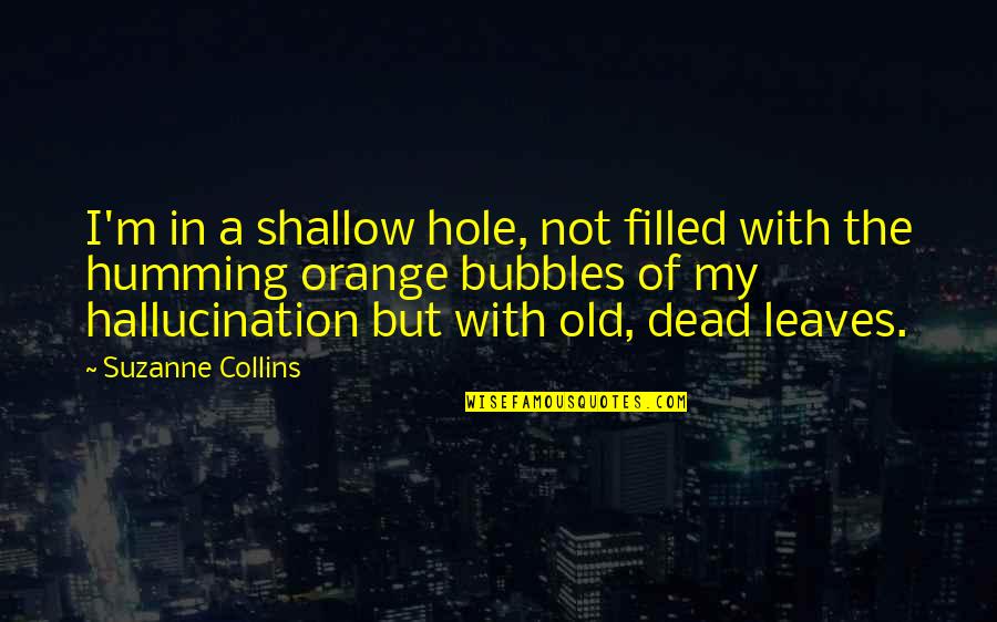 British Spellings Quotes By Suzanne Collins: I'm in a shallow hole, not filled with