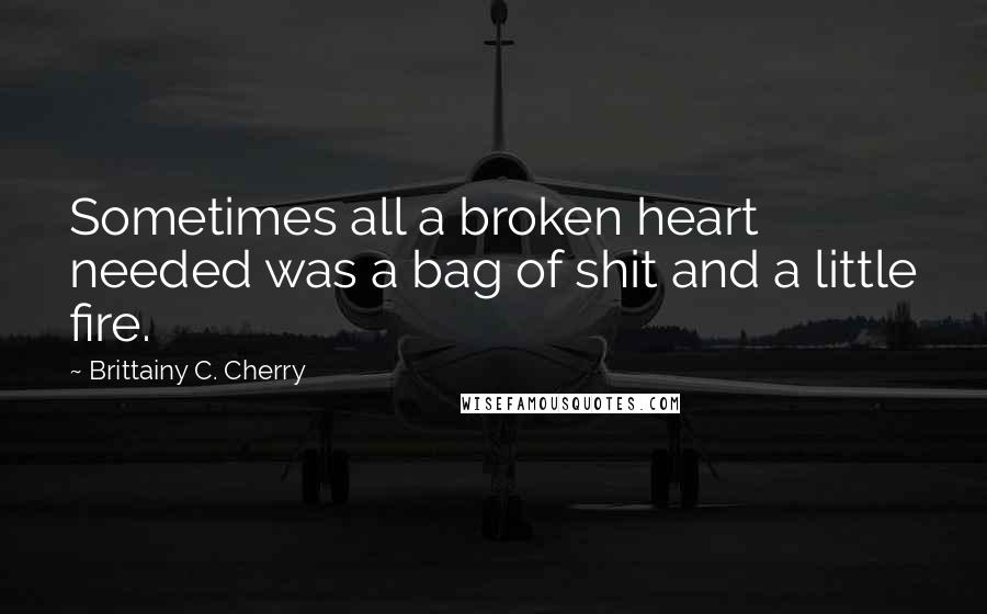 Brittainy C. Cherry quotes: Sometimes all a broken heart needed was a bag of shit and a little fire.