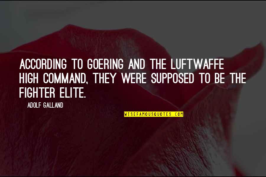 Brittany Matthews Best Quotes By Adolf Galland: According to Goering and the Luftwaffe High Command, Brittany Matthews Best Quotes By Adolf Galland: According to Goering and the Luftwaffe High Command,