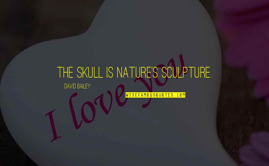 Bro Fist Quotes By David Bailey: The skull is nature's sculpture.