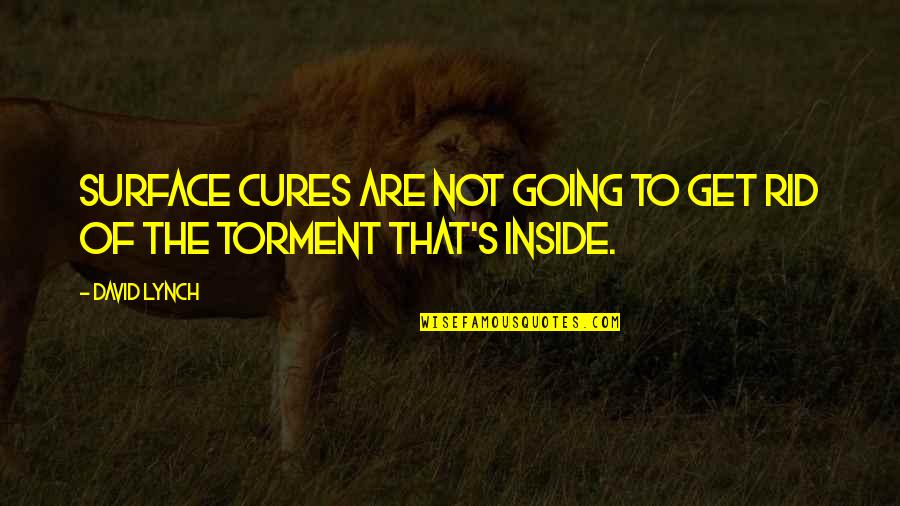 Broadswords Quotes By David Lynch: Surface cures are not going to get rid Broadswords Quotes By David Lynch: Surface cures are not going to get rid