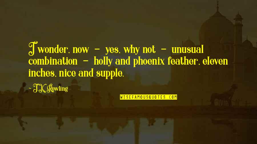 Broca Brain Quotes By J.K. Rowling: I wonder, now - yes, why not -