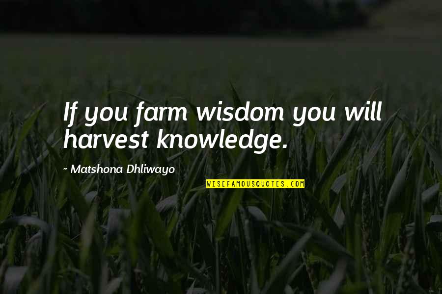 Broca's Aphasia Quotes By Matshona Dhliwayo: If you farm wisdom you will harvest knowledge.
