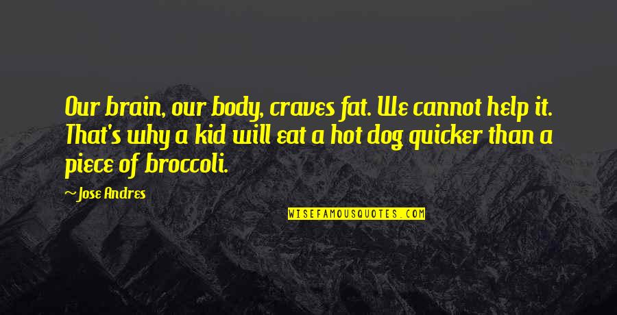 Broccoli Quotes By Jose Andres: Our brain, our body, craves fat. We cannot