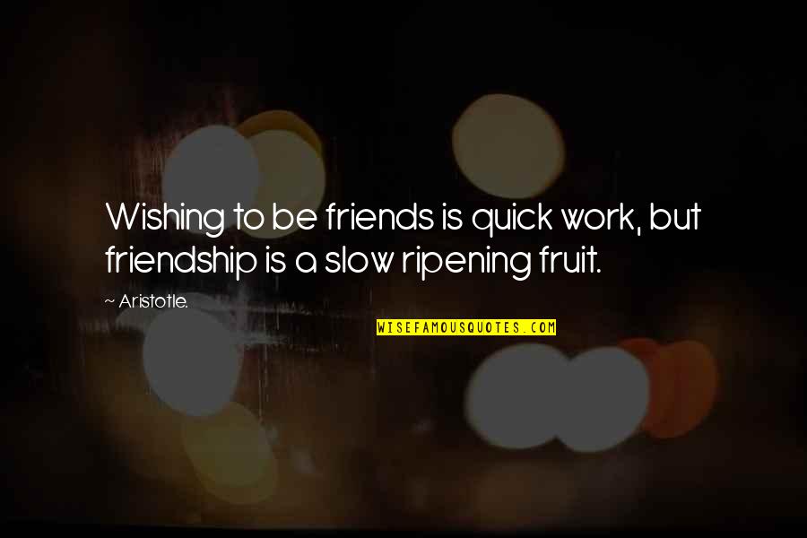 Brock Lesnar Famous Quotes By Aristotle.: Wishing to be friends is quick work, but