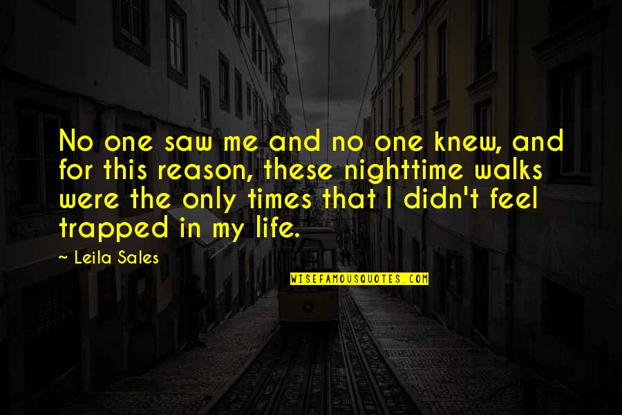 Brock Lesnar Motivational Quotes By Leila Sales: No one saw me and no one knew,