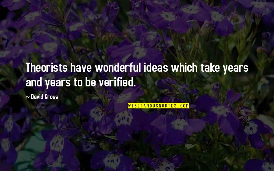 Brockerts Ale Quotes By David Gross: Theorists have wonderful ideas which take years and