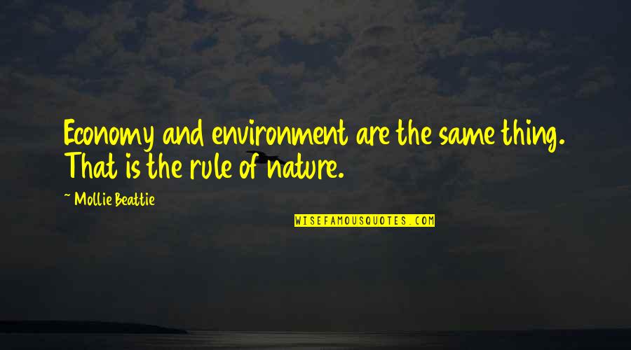 Brocklebank Labradors Quotes By Mollie Beattie: Economy and environment are the same thing. That