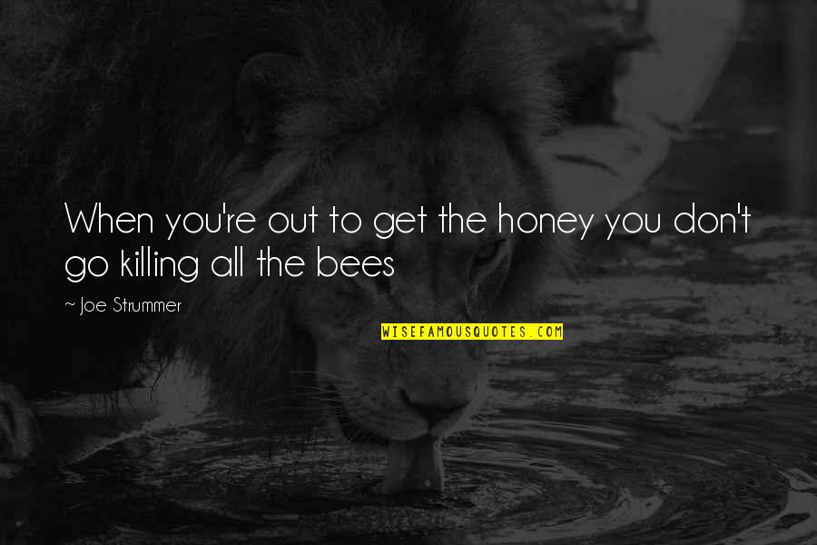 Brodil Inhaler Quotes By Joe Strummer: When you're out to get the honey you