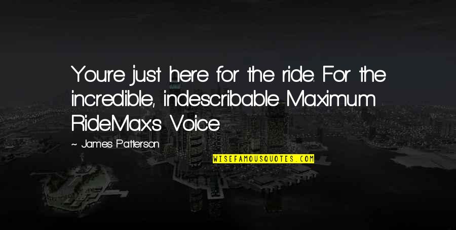 Brodo Quotes By James Patterson: You're just here for the ride. For the Brodo Quotes By James Patterson: You're just here for the ride. For the