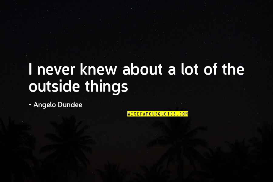 Broeker Photography Quotes By Angelo Dundee: I never knew about a lot of the