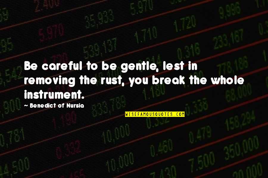 Broekhuis Auto Quotes By Benedict Of Nursia: Be careful to be gentle, lest in removing Broekhuis Auto Quotes By Benedict Of Nursia: Be careful to be gentle, lest in removing