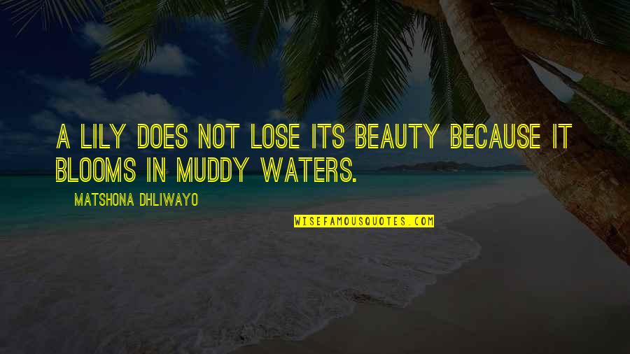 Brogans Quotes By Matshona Dhliwayo: A lily does not lose its beauty because