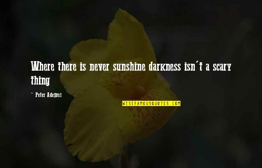 Broiler Chicken Quotes By Peter Adejimi: Where there is never sunshine darkness isn't a