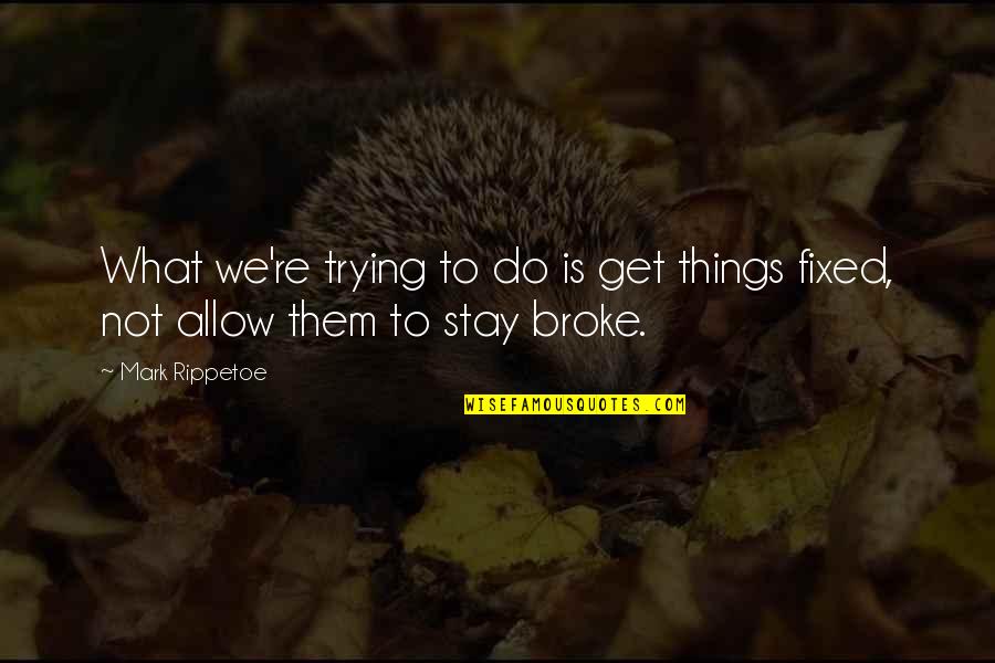 Broke Quotes By Mark Rippetoe: What we're trying to do is get things