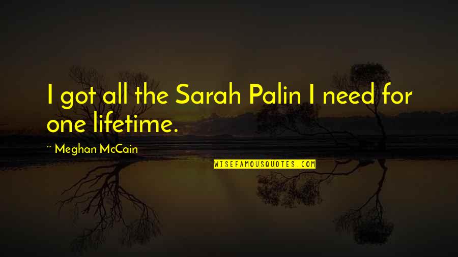 Broken English Inspirational Quotes By Meghan McCain: I got all the Sarah Palin I need Broken English Inspirational Quotes By Meghan McCain: I got all the Sarah Palin I need