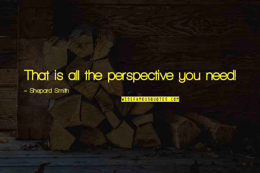 Broken Friendship Hurt Quotes By Shepard Smith: That is all the perspective you need! Broken Friendship Hurt Quotes By Shepard Smith: That is all the perspective you need!