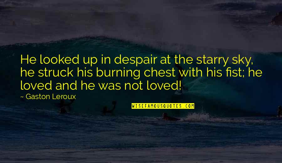 Broken Glass Relationship Quotes By Gaston Leroux: He looked up in despair at the starry