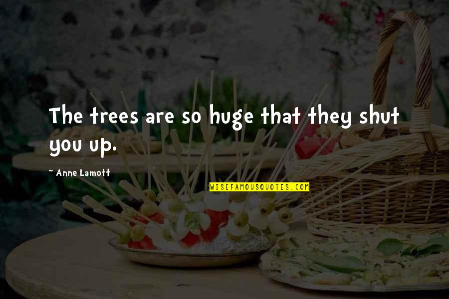 Broken Harbour Quotes By Anne Lamott: The trees are so huge that they shut