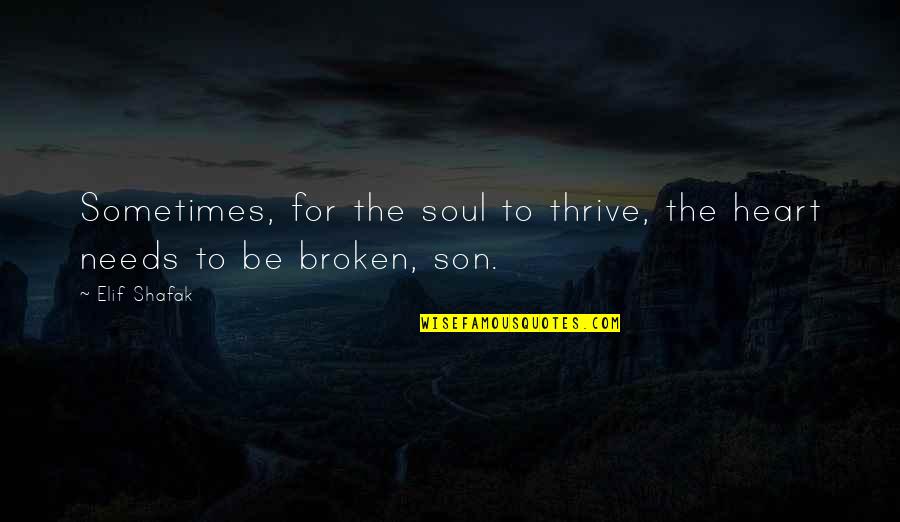 Broken Heart And Soul Quotes By Elif Shafak: Sometimes, for the soul to thrive, the heart