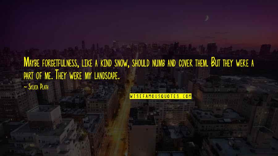 Broken Heart One Liner Quotes By Sylvia Plath: Maybe forgetfulness, like a kind snow, should numb