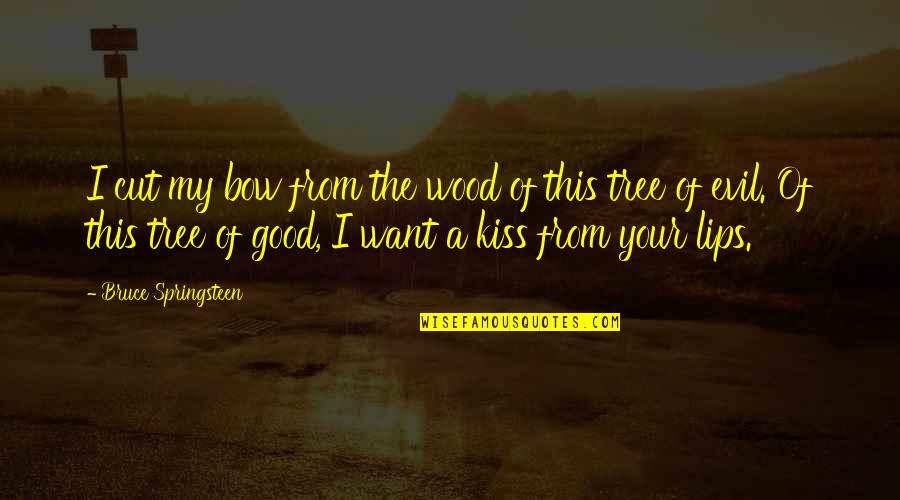 Broken Hearts Heal Quotes By Bruce Springsteen: I cut my bow from the wood of