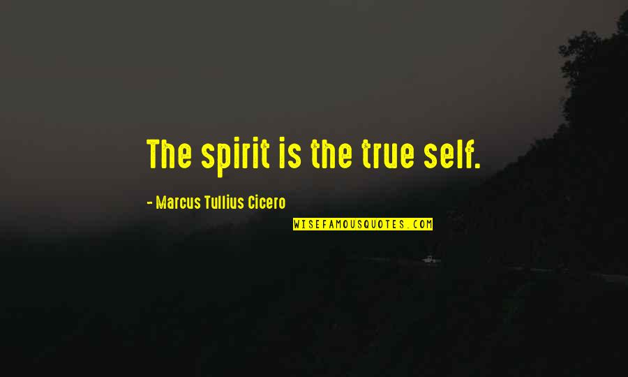 Broken Knee Quotes By Marcus Tullius Cicero: The spirit is the true self.